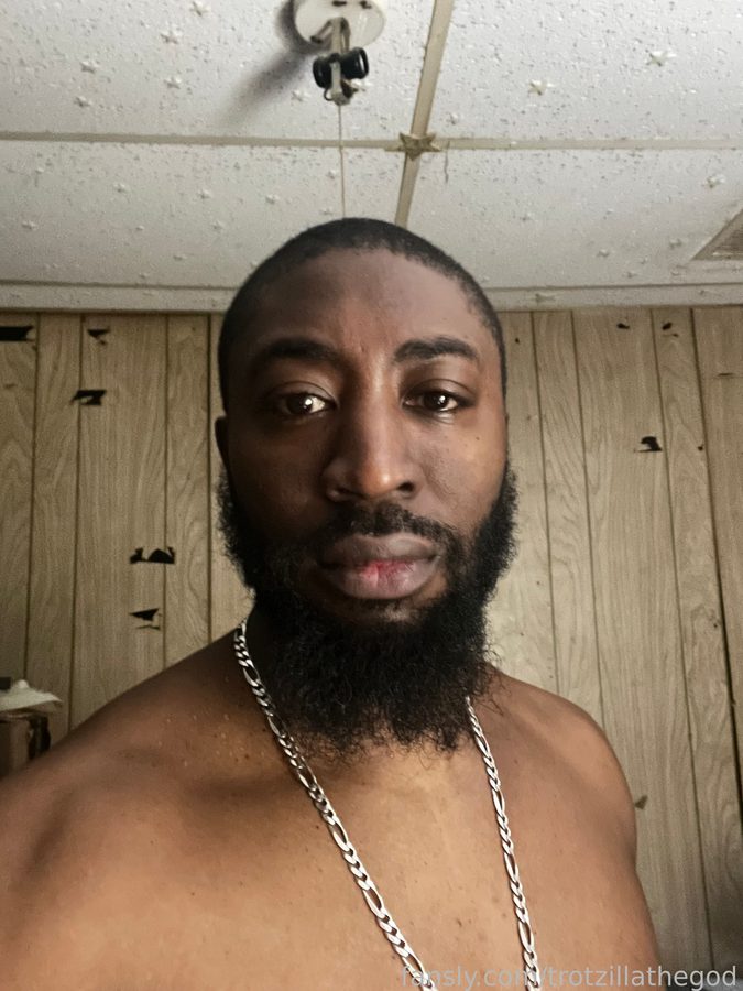trotzillathegod